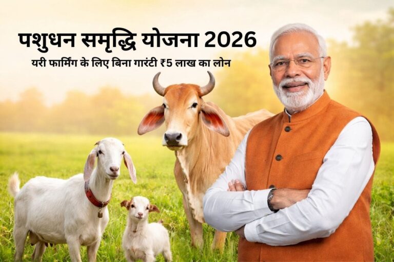 पशुधन समृद्धि योजना 2026: डेयरी फार्मिंग के लिए बिना गारंटी ₹5 लाख का लोन—नियम और शर्तें